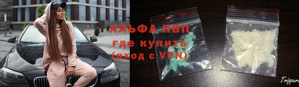 ешки Алексин