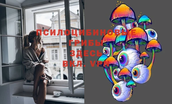 ешки Алексин