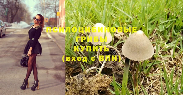 ешки Алексин